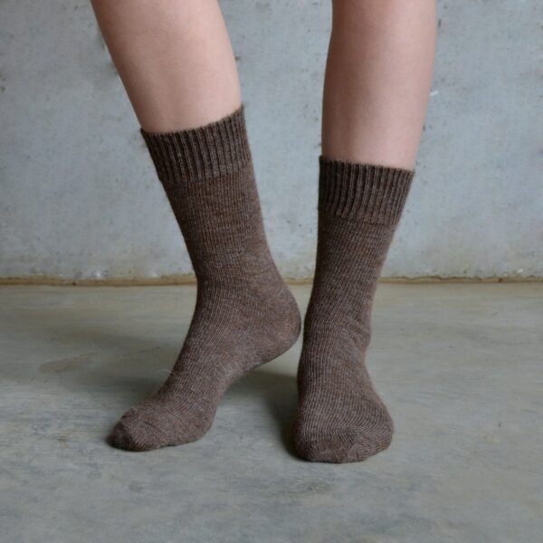 Alpaca – Brown