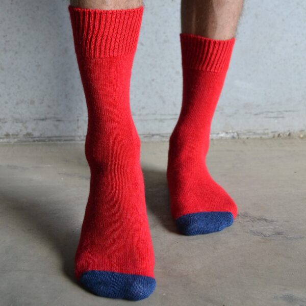 Alpaca – Red & Navy